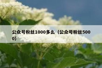 公众号粉丝1000多么（公众号粉丝5000）