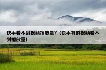 快手看不到视频播放量?（快手有的视频看不到播放量）