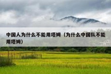 中国人为什么不能用塔姆（为什么中国队不能用塔姆）