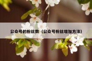 公众号的粉丝数（公众号粉丝增加方法）