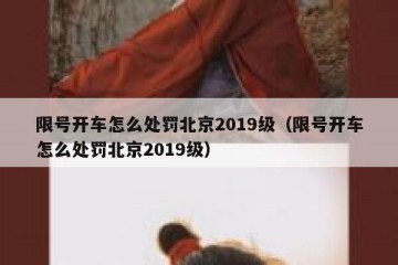 限号开车怎么处罚北京2019级（限号开车怎么处罚北京2019级）
