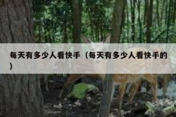 每天有多少人看快手（每天有多少人看快手的）