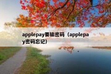 applepay要输密码（applepay密码忘记）