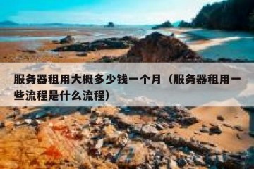 服务器租用大概多少钱一个月（服务器租用一些流程是什么流程）