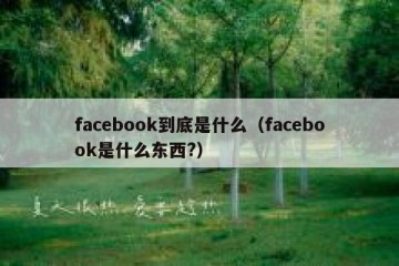 facebook到底是什么（facebook是什么东西?）