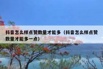 抖音怎么样点赞数量才能多（抖音怎么样点赞数量才能多一点）