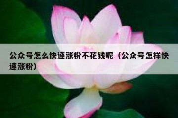 公众号怎么快速涨粉不花钱呢（公众号怎样快速涨粉）