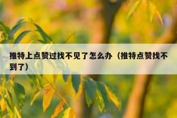 推特上点赞过找不见了怎么办（推特点赞找不到了）