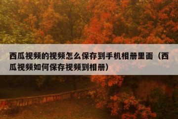 西瓜视频的视频怎么保存到手机相册里面（西瓜视频如何保存视频到相册）