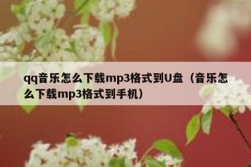 qq音乐怎么下载mp3格式到U盘（音乐怎么下载mp3格式到手机）