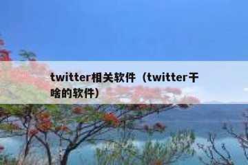 twitter相关软件（twitter干啥的软件）