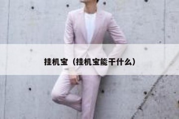 挂机宝（挂机宝能干什么）