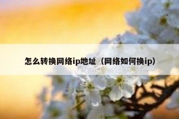 怎么转换网络ip地址（网络如何换ip）