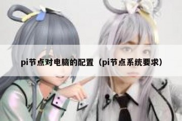 pi节点对电脑的配置（pi节点系统要求）