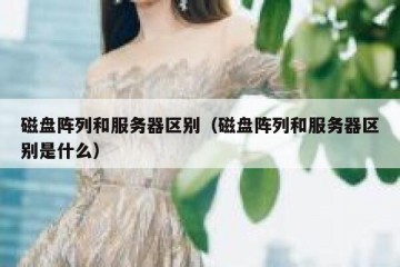 磁盘阵列和服务器区别（磁盘阵列和服务器区别是什么）
