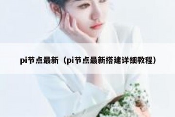 pi节点最新（pi节点最新搭建详细教程）