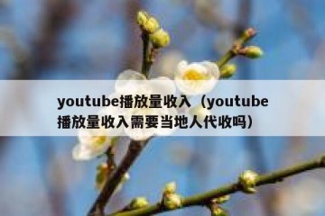 youtube播放量收入（youtube播放量收入需要当地人代收吗）