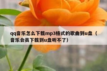qq音乐怎么下载mp3格式的歌曲到u盘（音乐会员下载到u盘听不了）