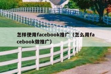 怎样使用facebook推广（怎么用facebook做推广）