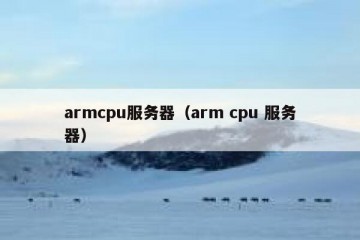 armcpu服务器（arm cpu 服务器）