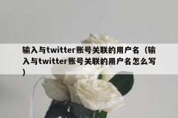 输入与twitter账号关联的用户名（输入与twitter账号关联的用户名怎么写）