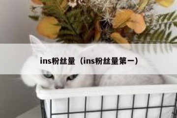 ins粉丝量（ins粉丝量第一）