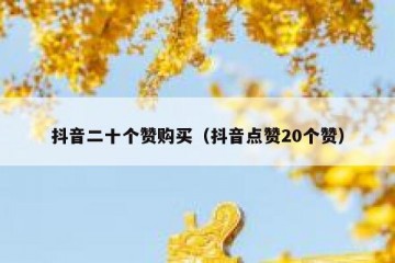 抖音二十个赞购买（抖音点赞20个赞）