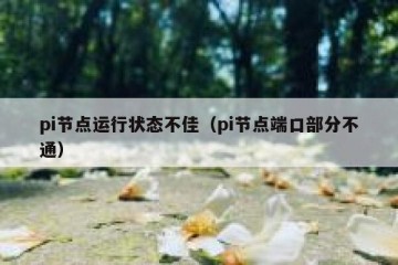 pi节点运行状态不佳（pi节点端口部分不通）