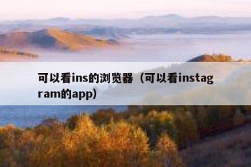 可以看ins的浏览器（可以看instagram的app）