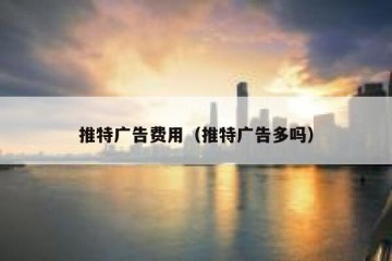 推特广告费用（推特广告多吗）