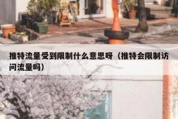 推特流量受到限制什么意思呀（推特会限制访问流量吗）