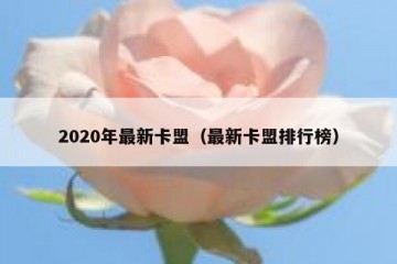 2020年最新卡盟（最新卡盟排行榜）