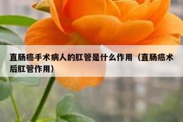直肠癌手术病人的肛管是什么作用（直肠癌术后肛管作用）