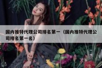 国内推特代理公司排名第一（国内推特代理公司排名第一名）