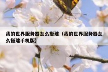我的世界服务器怎么搭建（我的世界服务器怎么搭建手机版）