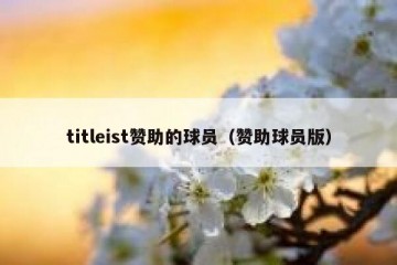 titleist赞助的球员（赞助球员版）