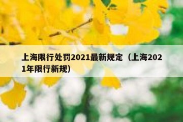 上海限行处罚2021最新规定（上海2021年限行新规）