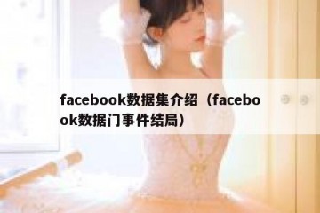 facebook数据集介绍（facebook数据门事件结局）