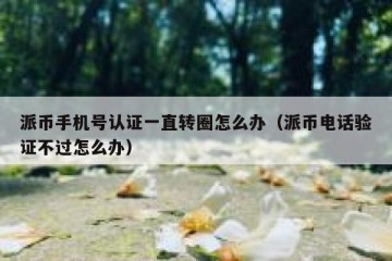 派币手机号认证一直转圈怎么办（派币电话验证不过怎么办）