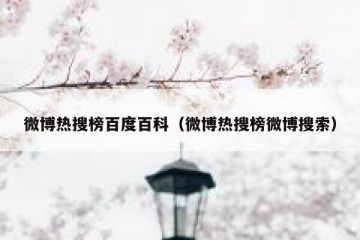 微博热搜榜百度百科（微博热搜榜微博搜索）