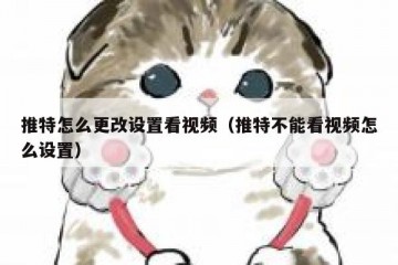 推特怎么更改设置看视频（推特不能看视频怎么设置）