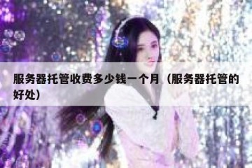 服务器托管收费多少钱一个月（服务器托管的好处）