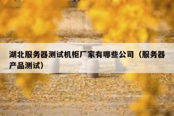 湖北服务器测试机柜厂家有哪些公司（服务器产品测试）