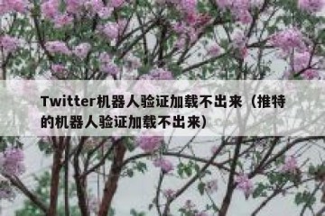 Twitter机器人验证加载不出来（推特的机器人验证加载不出来）