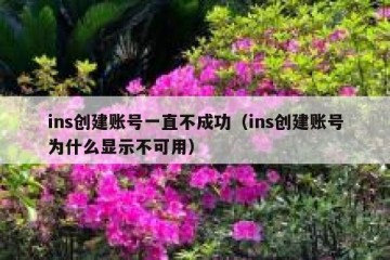 ins创建账号一直不成功（ins创建账号为什么显示不可用）