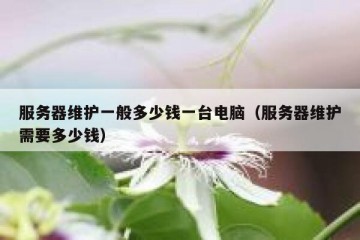 服务器维护一般多少钱一台电脑（服务器维护需要多少钱）