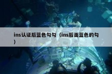 ins认证后蓝色勾勾（ins后面蓝色的勾）