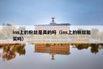 ins上的粉丝是真的吗（ins上的粉丝能买吗）