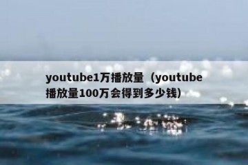 youtube1万播放量（youtube播放量100万会得到多少钱）