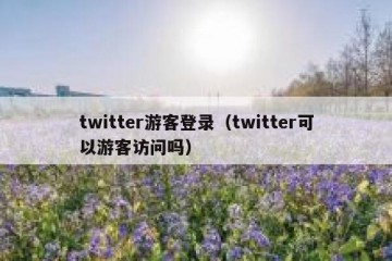 twitter游客登录（twitter可以游客访问吗）